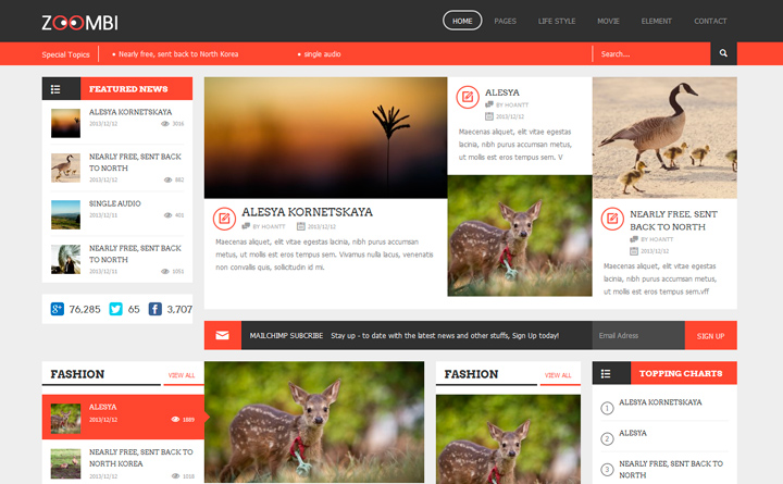 Zoombi WordPress template