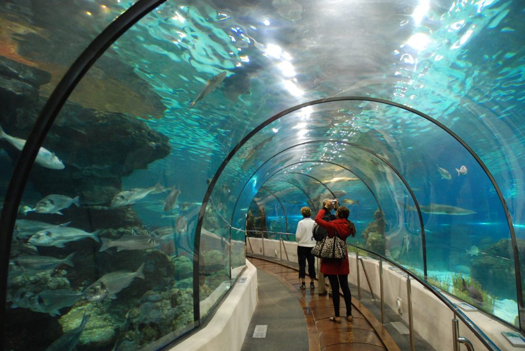 Aquarium Barcelona underwater shark tunnel