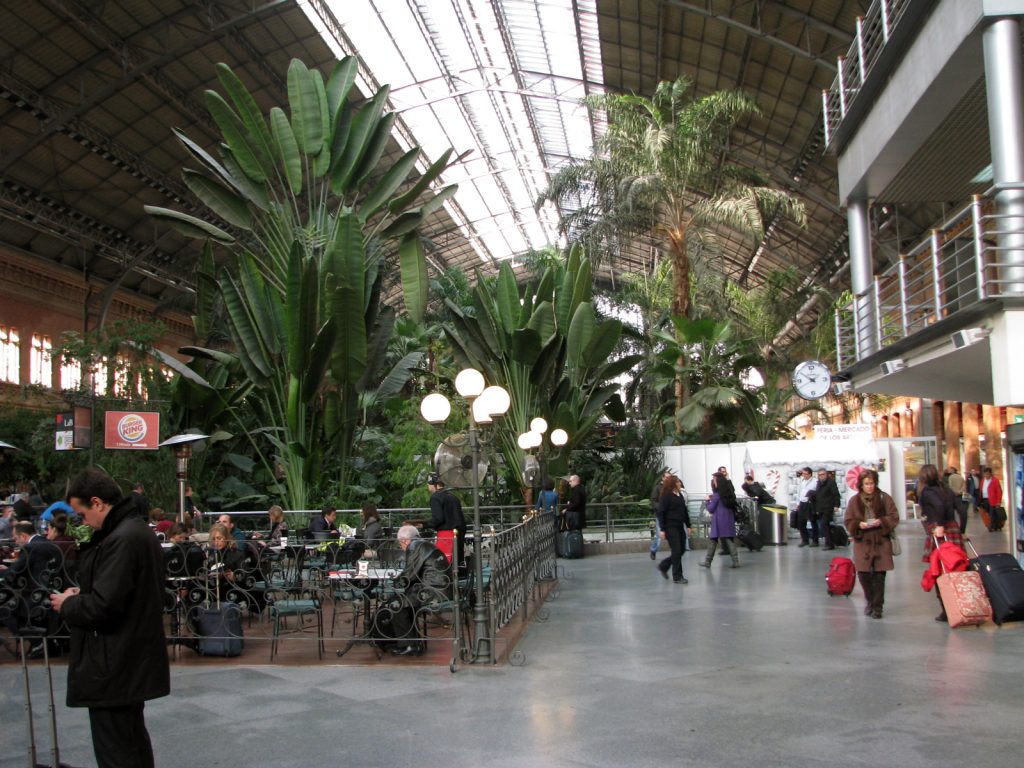 Madrid's Atocha train station exotic indoor garden